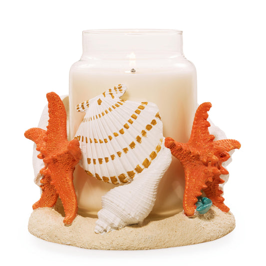 Seashell Jar Candle Holder - IMB9D